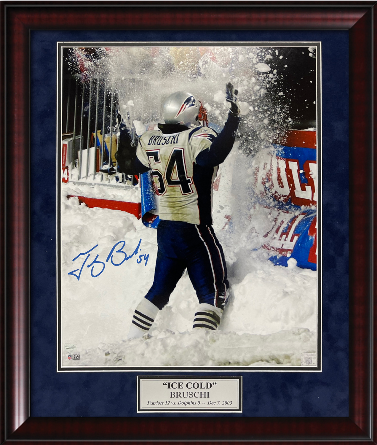Tedy bruschi signed best sale jersey